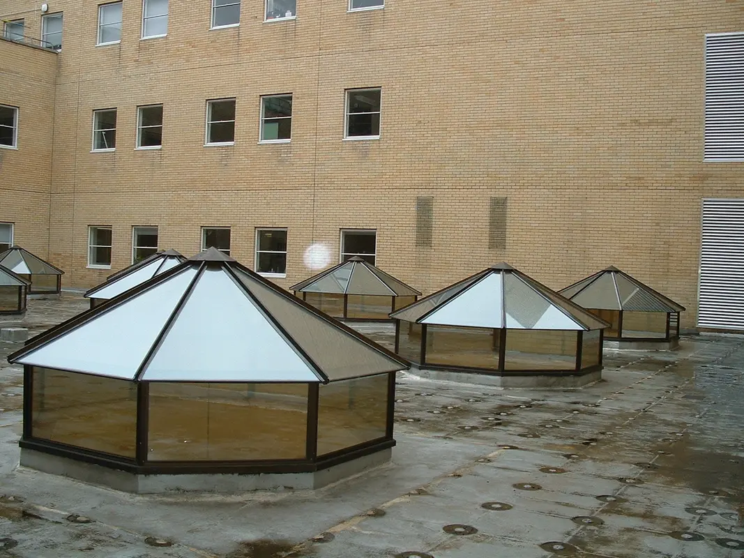Flat Roof Skylights Archway